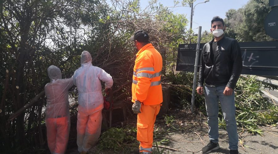 Via Provinciale per Riposto, al via scerbatura e ripristino dei muri