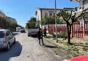 Riposto, al via la potatura di oltre un centinaio di alberi di arancio amaro