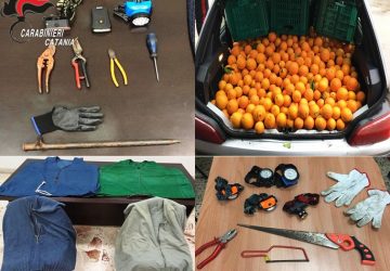 Patern&ograve;, piano di controllo contro le razzie nelle aree rurali: 11 denunciati