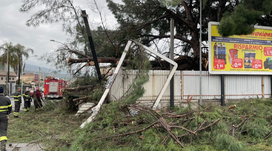 Giarre, precipita un pino che danneggia cartellonistica pubblicitaria