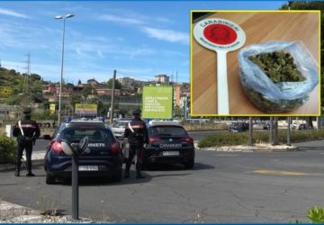 Viaggiava con la marijuana nascosta sotto il sedile: meccanico in manette