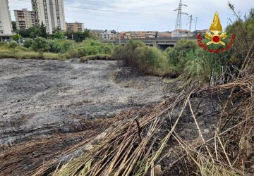 Catania, vasto incendio in un canneto a Librino