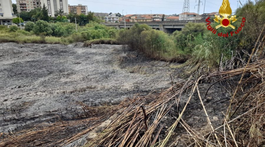 Catania, vasto incendio in un canneto a Librino