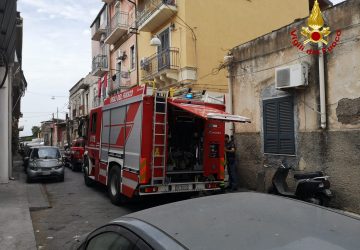 Incendio in un'abitazione: vigili del fuoco salvano il bassotto Oscar
