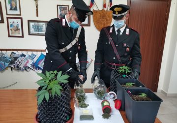 Gaggi, serra per cannabis in casa: arrestato 25enne con l&rsquo;hobby del &ldquo;giardinaggio&rdquo;