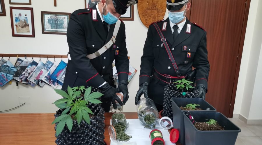 Gaggi, serra per cannabis in casa: arrestato 25enne con l’hobby del “giardinaggio”