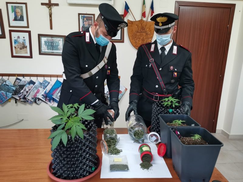 Gaggi, serra per cannabis in casa: arrestato 25enne con l’hobby del “giardinaggio”