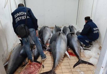 Guardia Costiera sequestra 1400 kg di Tonno rosso per un valore di circa 34.000 euro