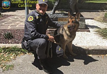 Il pastore tedesco &ldquo;Zaro&rdquo; dell&rsquo;unit&agrave; cinofila delle fiamme gialle etnee va in pensione