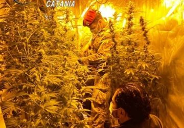 Castel di Iudica, giumarra battuta a tappeto: due arresti per coltivazione di droga