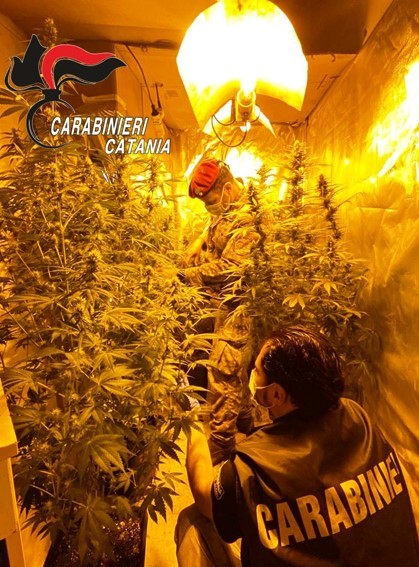 Castel di Iudica, giumarra battuta a tappeto: due arresti per coltivazione di droga