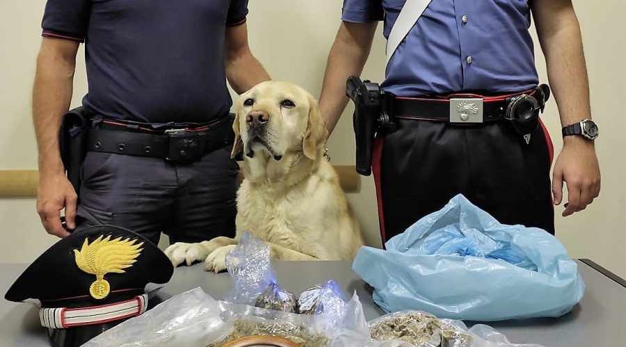 Mascali, aspetta che i CC vadano via per recuperare la droga nascosta nel terreno vicino casa: arrestato