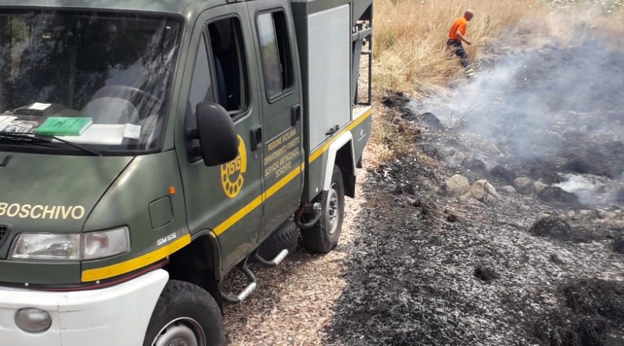 Giarre assediata da rovi e sterpaglie: alto rischio incendi
