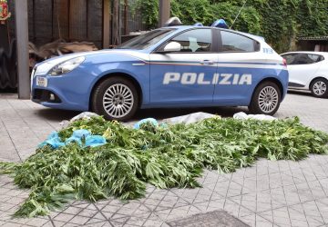 Santa Venerina, scovata piantagione di cannabis: in manette 47enne