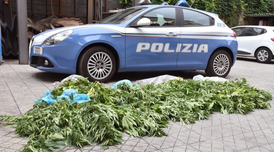 Santa Venerina, scovata piantagione di cannabis: in manette 47enne