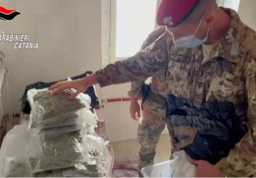 Profumatori per coprire l’odore della marijuana: i “cacciatori” ne sequestrano 4,5 Kg VIDEO