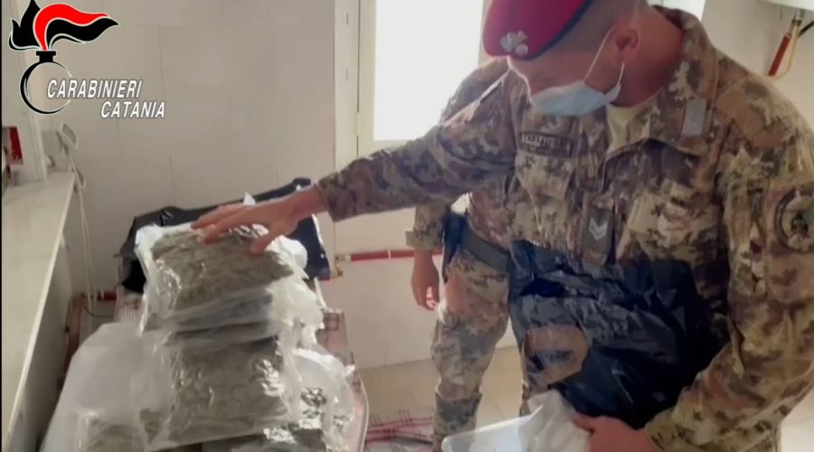 Profumatori per coprire l’odore della marijuana: i “cacciatori” ne sequestrano 4,5 Kg VIDEO