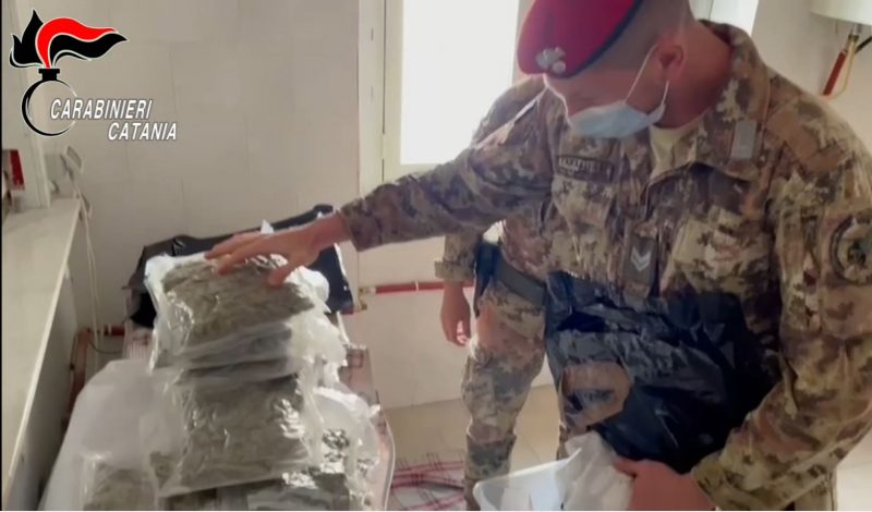 Profumatori per coprire l’odore della marijuana: i “cacciatori” ne sequestrano 4,5 Kg VIDEO