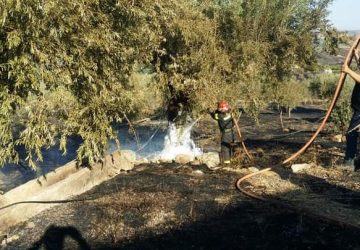 Sciddicuni (Paternò), inghiottito da un inferno di fuoco