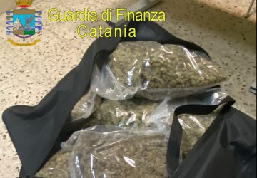 Sequestrati 37 kg di marijuana ad alto potenziale e 150 munizioni: due arresti