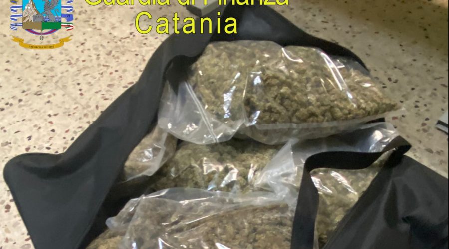 Sequestrati 37 kg di marijuana ad alto potenziale e 150 munizioni: due arresti