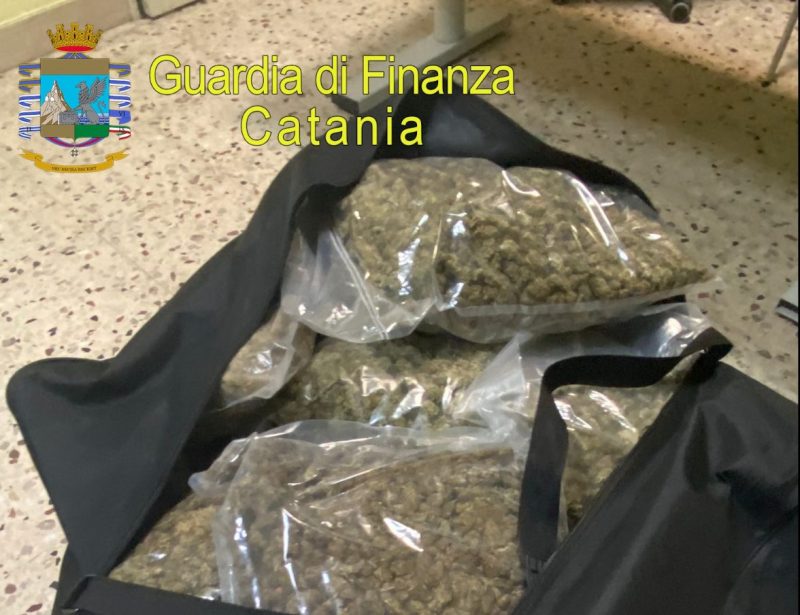 Sequestrati 37 kg di marijuana ad alto potenziale e 150 munizioni: due arresti