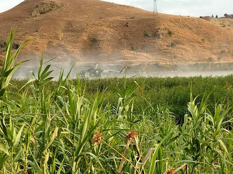 Paternò, agricoltore tenta di spegnere incendio ma si ribalta col trattore e muore