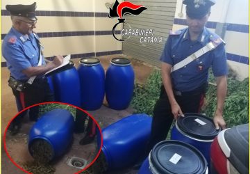 Mascali, ancora un colpo al traffico della droga. CC sequestrano 18 chili di "erba": un arresto