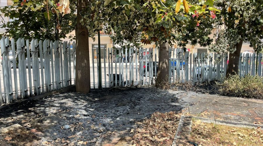 Giarre, principio incendio al parco Jungo. Intervento dei Vvff scongiura il disastro