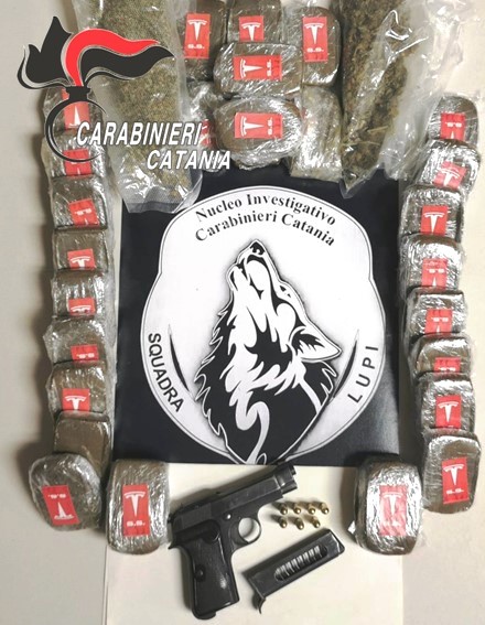 I Lupi “fiutano” hashish ed una pistola: arrestato 19enne