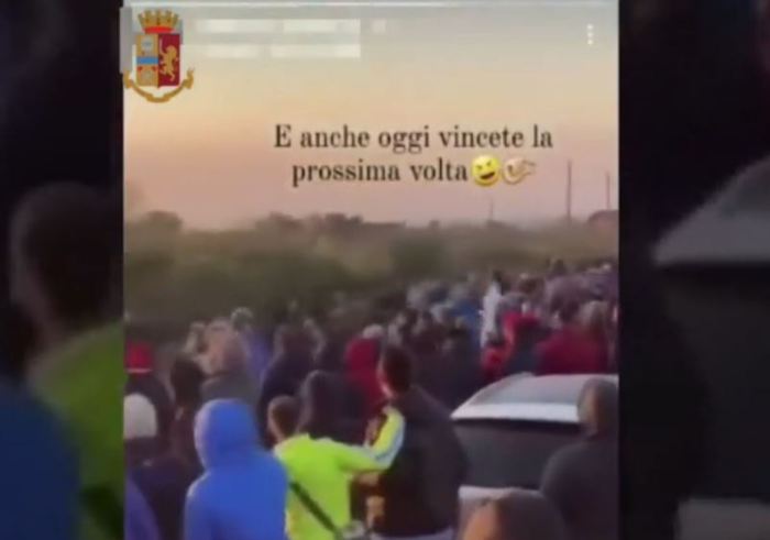 Corse clandestine di cavalli: sequestrate 3 scuderie, 10 cavalli e 39 calessi. 5 denunciati