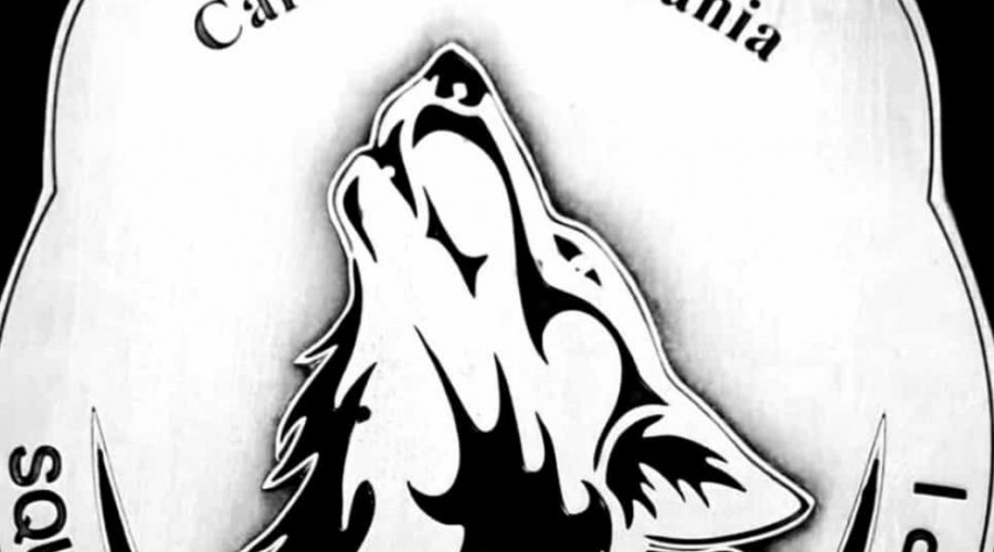 Catania, beccato dai Lupi con la coca in auto