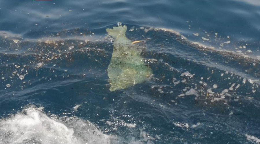 Inquinamento in mare da Calatabiano a Riposto: avviate indagini sulle cause dalla Guardia Costiera