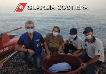 Fiumefreddo, recuperata dalla Guardia Costiera tartaruga &ldquo;Caretta Caretta&rdquo; ferita