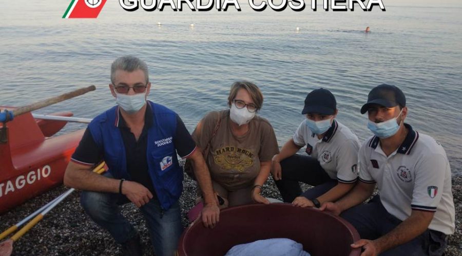 Fiumefreddo, recuperata dalla Guardia Costiera tartaruga “Caretta Caretta” ferita