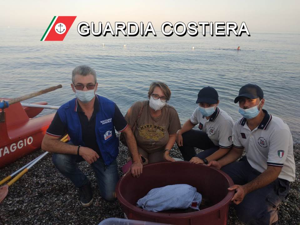 Fiumefreddo, recuperata dalla Guardia Costiera tartaruga “Caretta Caretta” ferita