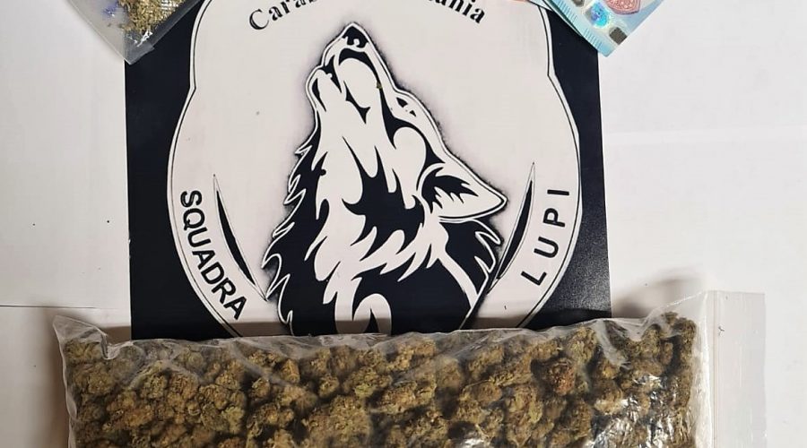 Pusher irriducibile beccato con 500 gr di marijuana: arrestato