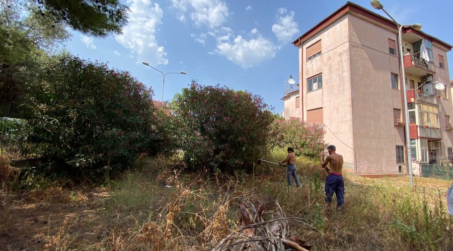 Giarre, quartiere Satellite assediato da una foresta di rovi. Allarme incendi VIDEO