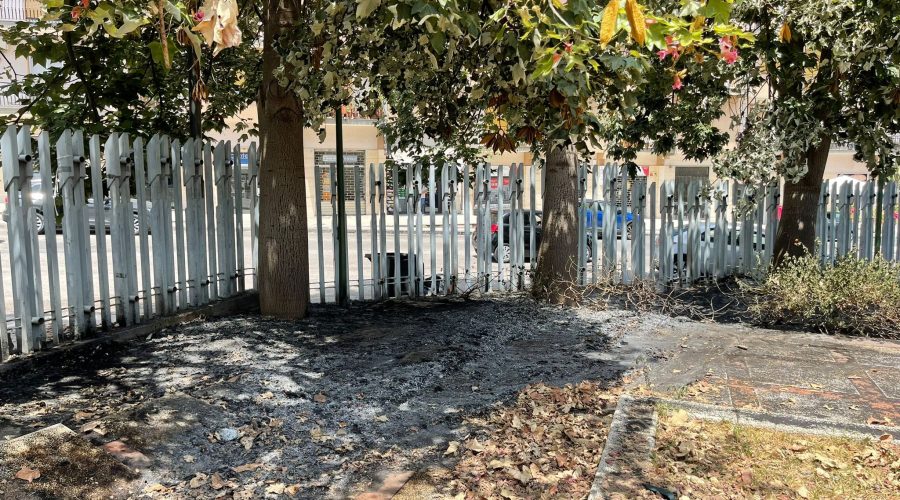 Giarre, parco Jungo di nuovo sotto attacco. Incendio nella notte