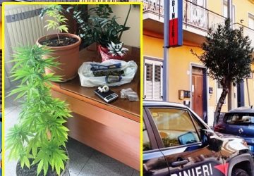 Pedara, tenta di beffare i Carabinieri che trovano il resto della droga: arrestato