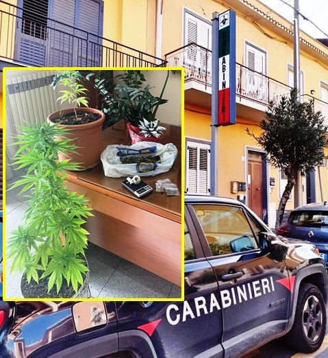 Pedara, tenta di beffare i Carabinieri che trovano il resto della droga: arrestato