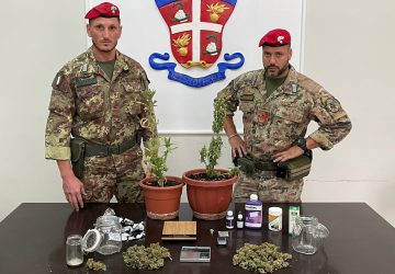 Produttore di cannabis si aggiornava tramite riviste specializzate