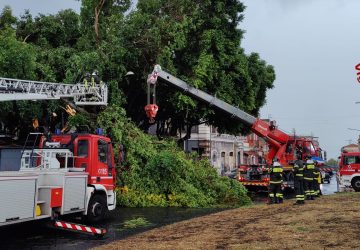 Allerta meteo, allagamenti e alberi caduti a Catania. Decine di interventi dei Vvff