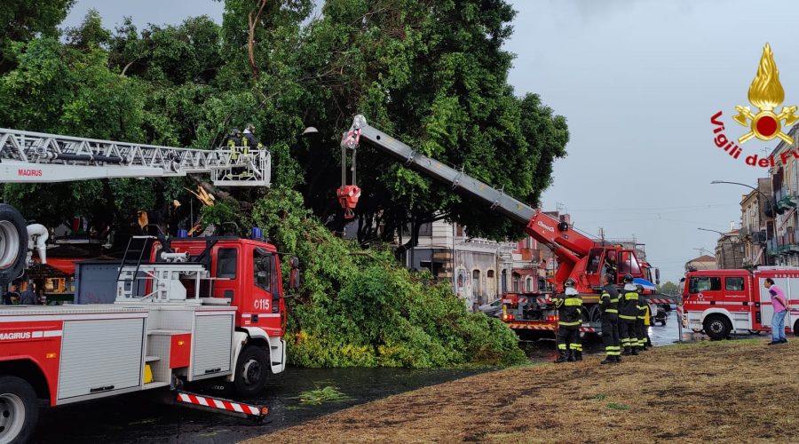 Allerta meteo, allagamenti e alberi caduti a Catania. Decine di interventi dei Vvff