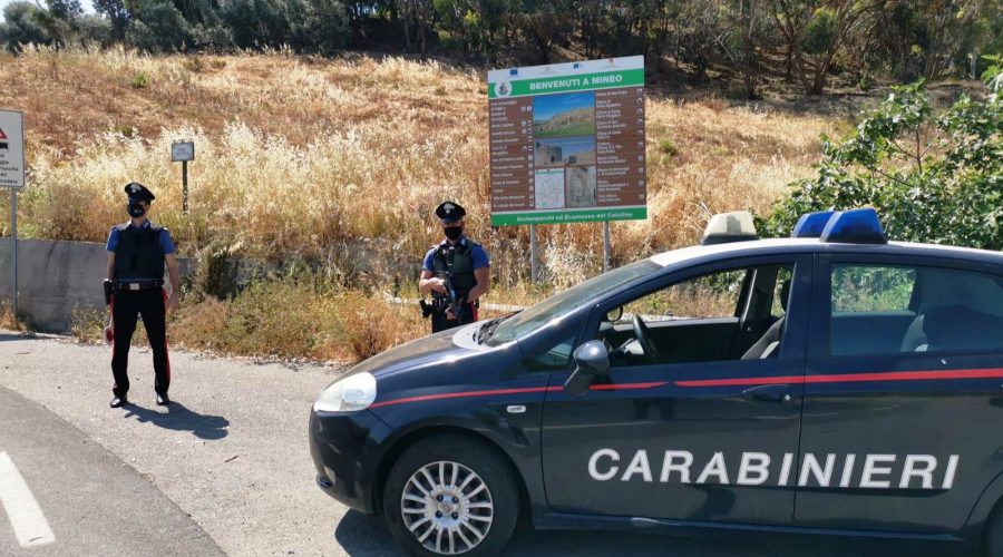 Mineo, picchia la compagna in auto e fugge via a piedi:  arrestato