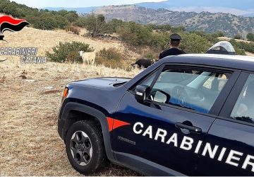 Bronte, &ldquo;Qui &egrave; tutto mio!&rdquo; e bastona il legittimo proprietario del fondo: arrestato