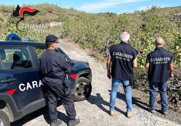 La vigilanza sulle attivit&agrave; imprenditoriali connesse alla coltivazione del pistacchio DOP ha dato &ldquo;buoni frutti&rdquo;