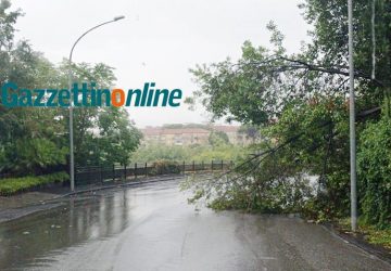 Maltempo, allagamenti e rami d'albero abbattuti. Disagi nella fornitura idrica