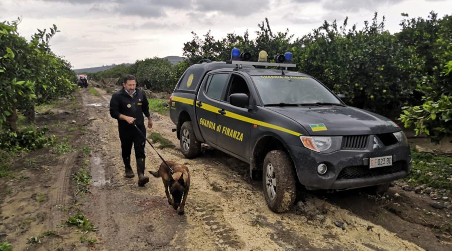 Ritrovato il cadavere della donna di Scordia dispersa durante l’alluvione