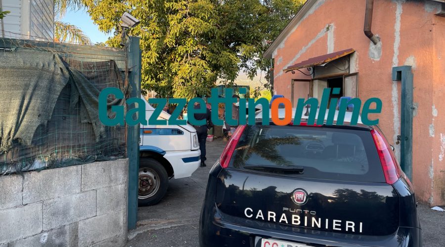 Blitz dei carabinieri di Messina in un casolare di Altarello: trovate decine di sedie rubate